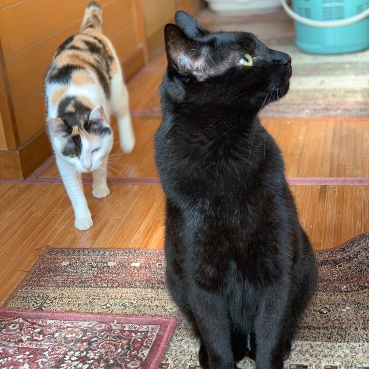 78fea9f9 17a5 4475 bb51 3d15a393f919 1565656857549