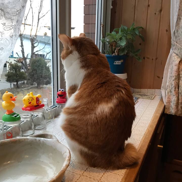 78febc30 ef66 4b62 90c9 0e550dfd2257 1575583023020