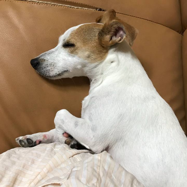 78fed907 6dbd 4fe8 b7d0 740175a2dfa6 1601124435514