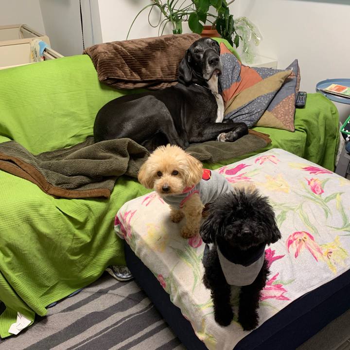 78fee889 7b42 4670 8022 c3dca39e6b48 1551653251468