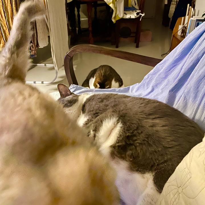 78ff1f0e 2129 4600 a9da 42cc554e8b0f 1757169863706