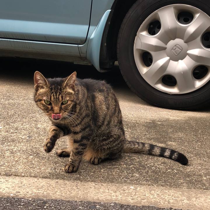 78ff2b91 a85b 433c 8829 6b30e70504c1 1538569972776