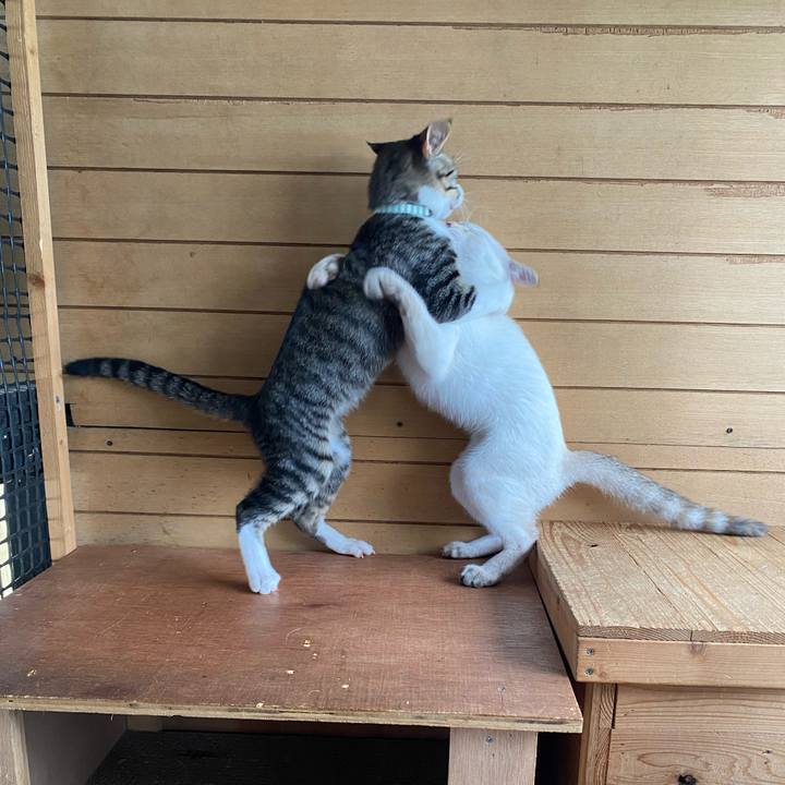 78ff5223 dad2 46ef 917c 25e78fa9d902 1629852262545