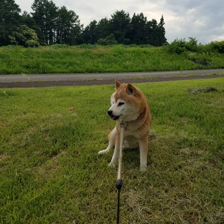 78ff59ec 0bca 4e12 b560 927979d879f4 1750580191811