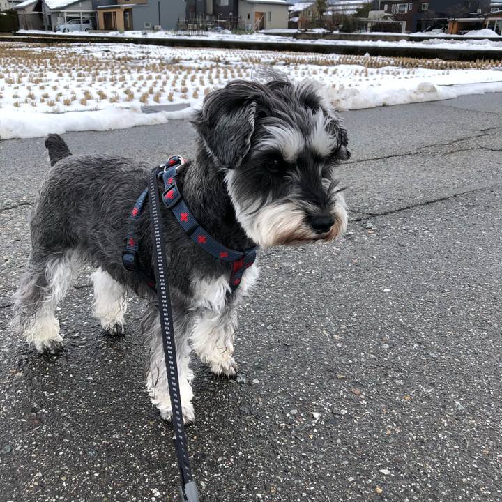 78ff9268 6410 438a 9709 d47f7ea00973 1645340996231