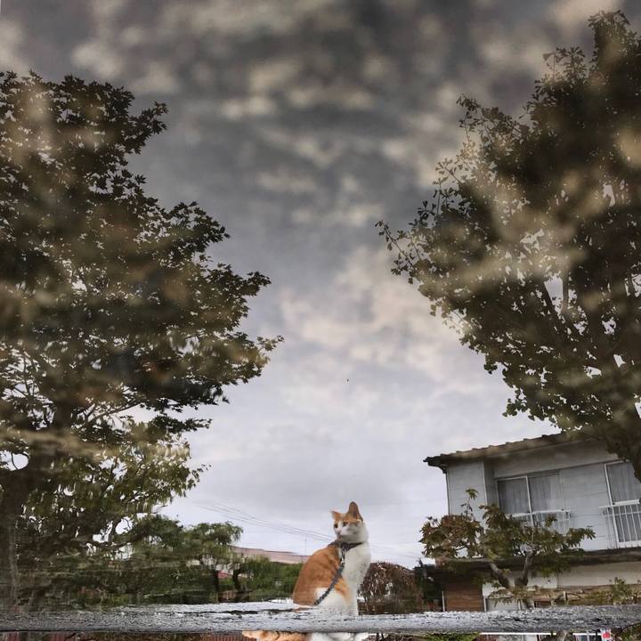 78ffa015 e8bd 41b0 a82e c88ebda073f1 1508504612450