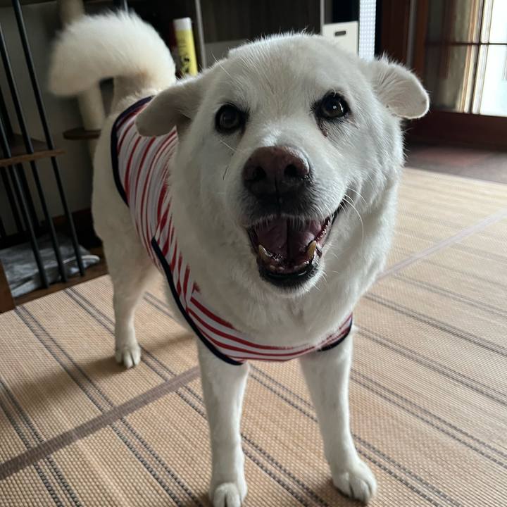 78ffabd1 22cb 449f 8daa 88e10c81db79 1759185650036