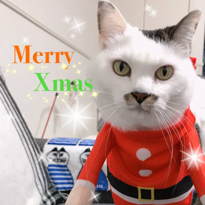 78ffd002 37fe 4937 aa6f 362f327ba979 1577176769351