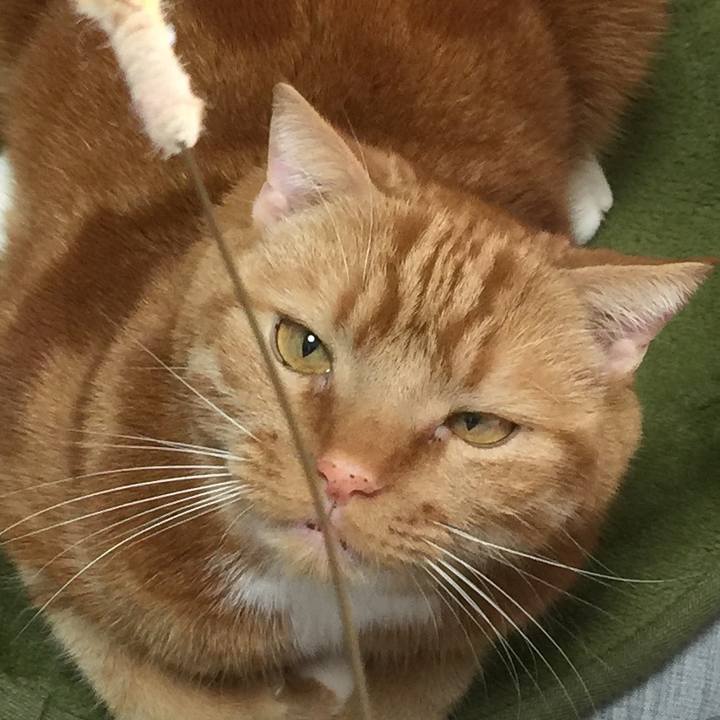 78ffd41b 9eea 4b01 a8f4 9c9d98e7f908 1581128456883