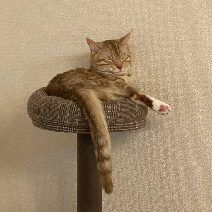 78fffd46 f5c0 40ba b0ad 7d8ffa59bef0 1637667834817