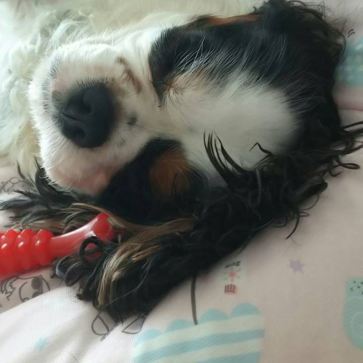 79000d72 1a18 46ec b02d fdb88d9d9a31 1530930293408