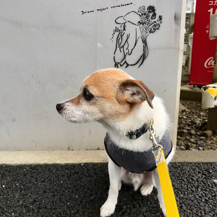 79001fb8 b5d3 41d2 afeb 7f5ca4c0caaa 1594706409253