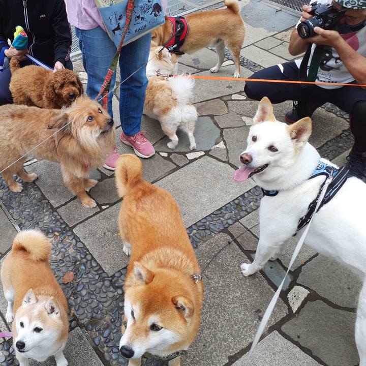 79006a1c 2a1a 4f82 90cc 1cb5e51a99c4 1653177310971