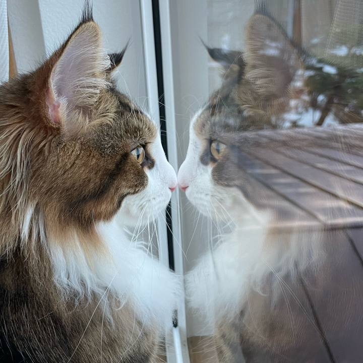 79007324 0872 4961 b5b8 bdb7b3a987e6 1641680800098