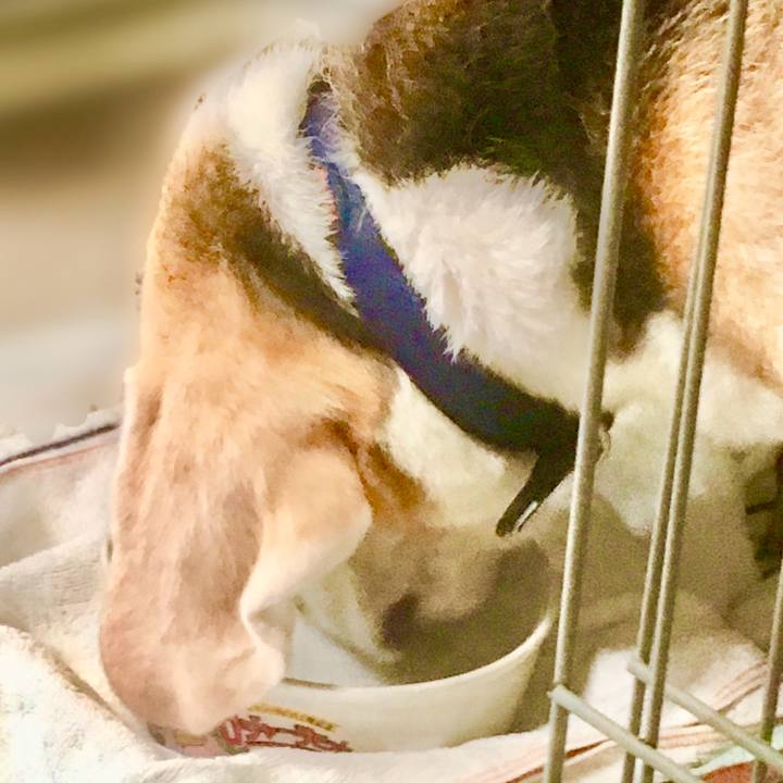 79009864 abc8 418e baf9 25ac68457573 1757908438000