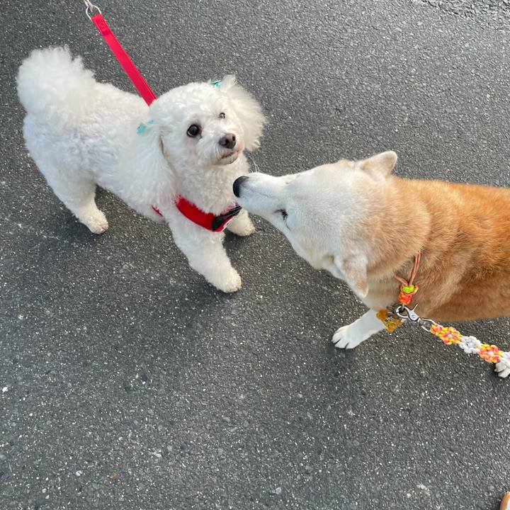 7900a1f8 9068 494f a3cb 525e67791425 1636158253711