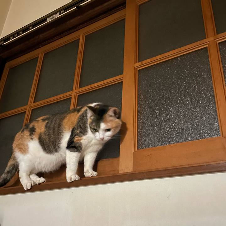 7900de32 288f 4e4d 8824 c0aa2665b2fe 1685096542205