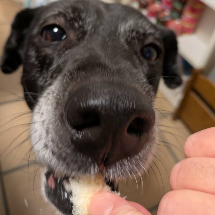 79012560 3d80 4c98 b72d 53879f3b8f02 1737590540652