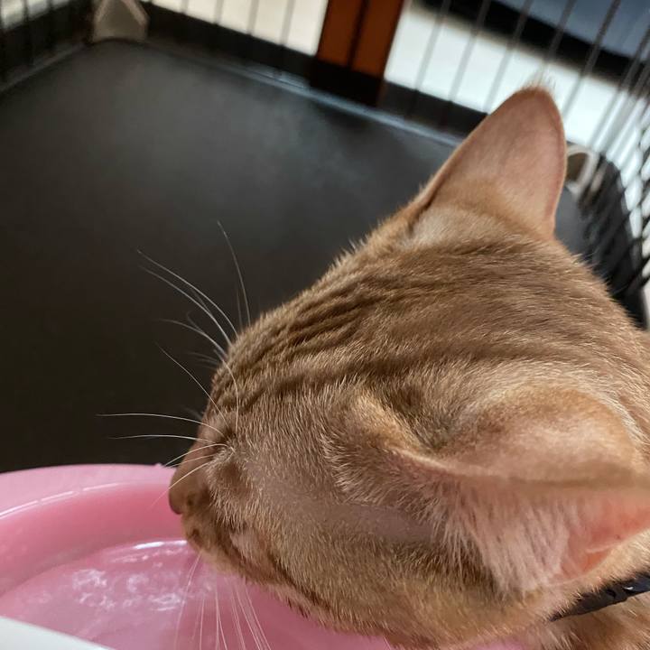 7901282c d8da 40c8 aedb fe597f407a47 1600655552158