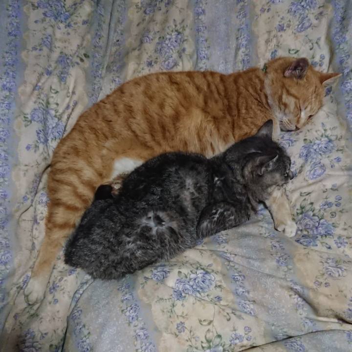 79013cb0 cf8a 47f6 9978 774ecd389122 1582288006394