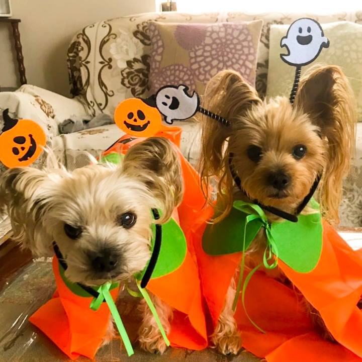 7901a1d6 d3fe 4355 a03c 0f64fd18f233 1572514014248