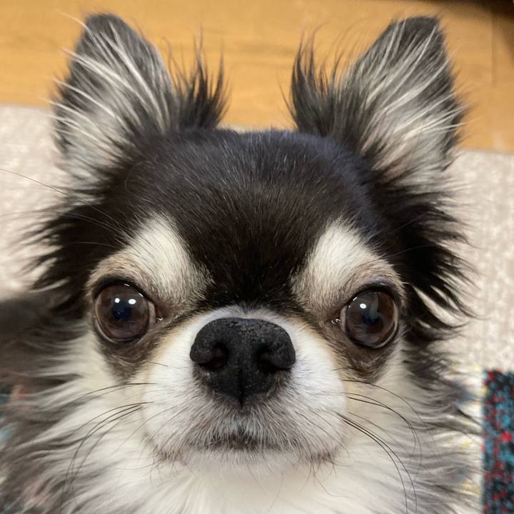 7901a2e6 e8dc 4010 9aa4 87c821a70d5e 1703373095318