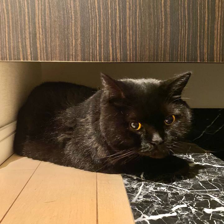 7901e3ea 7f62 4b73 aefe e780239504c5 1727615796880