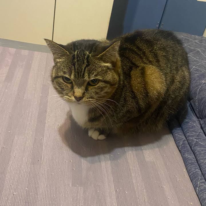 7901eff8 4910 425d ab10 0c265d9612c1 1649345141027