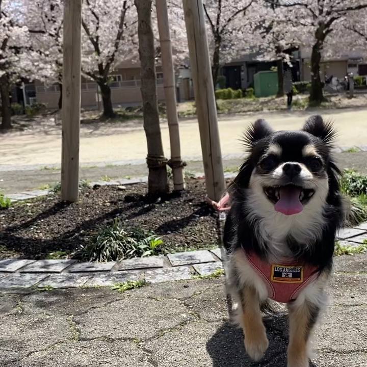 79024eab 6add 4145 8d54 e4f195e5356e 1617230889918