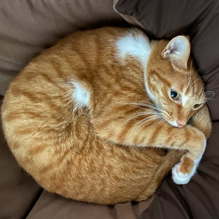 79029524 727a 4db6 a579 e3f4f7a5d155 1616384748483