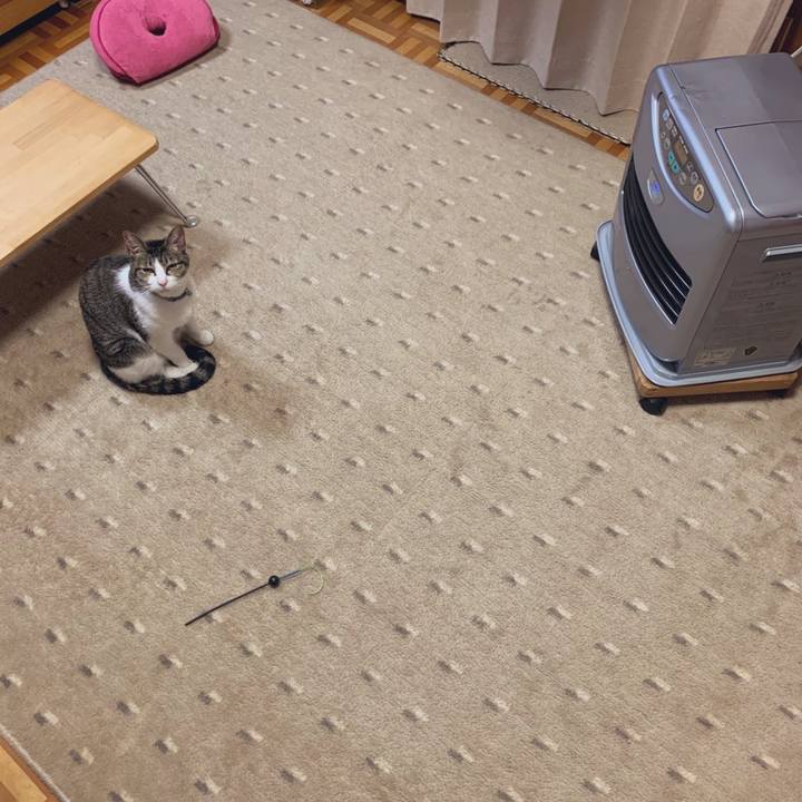 7902a4f5 d9e5 4d62 bee2 be1c327f722a 1580268942230