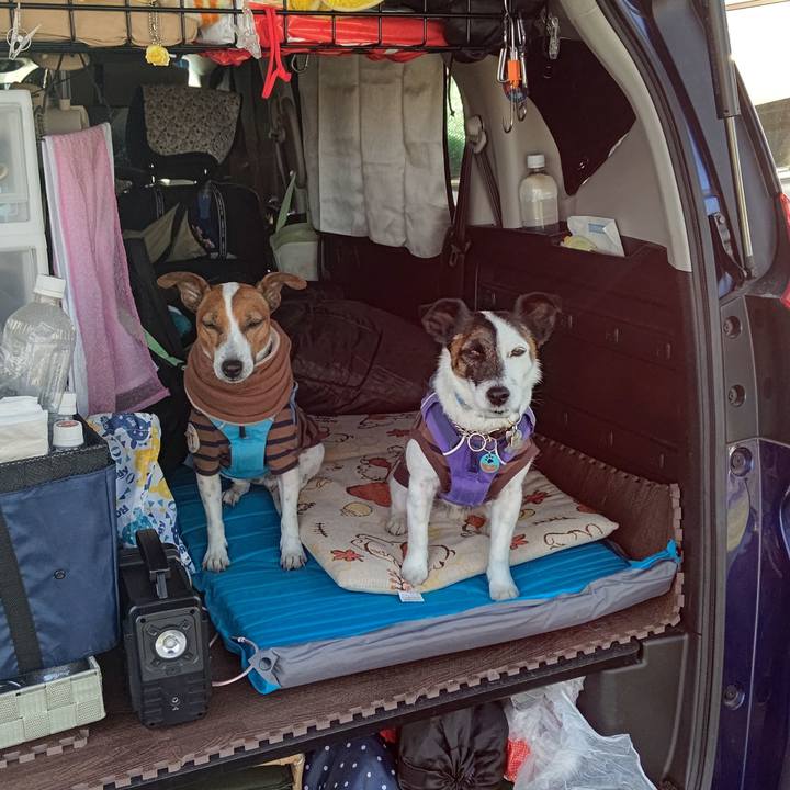 7902de4f 4c85 4e6d b885 9088c7583490 1682204362821