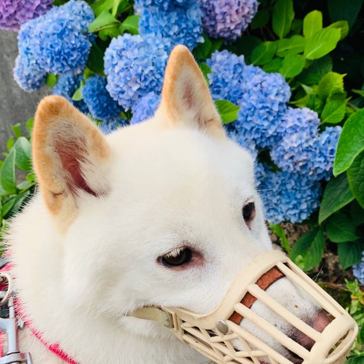 7903293c 6b34 4d9e 8332 2940c6383fdd 1564088947192