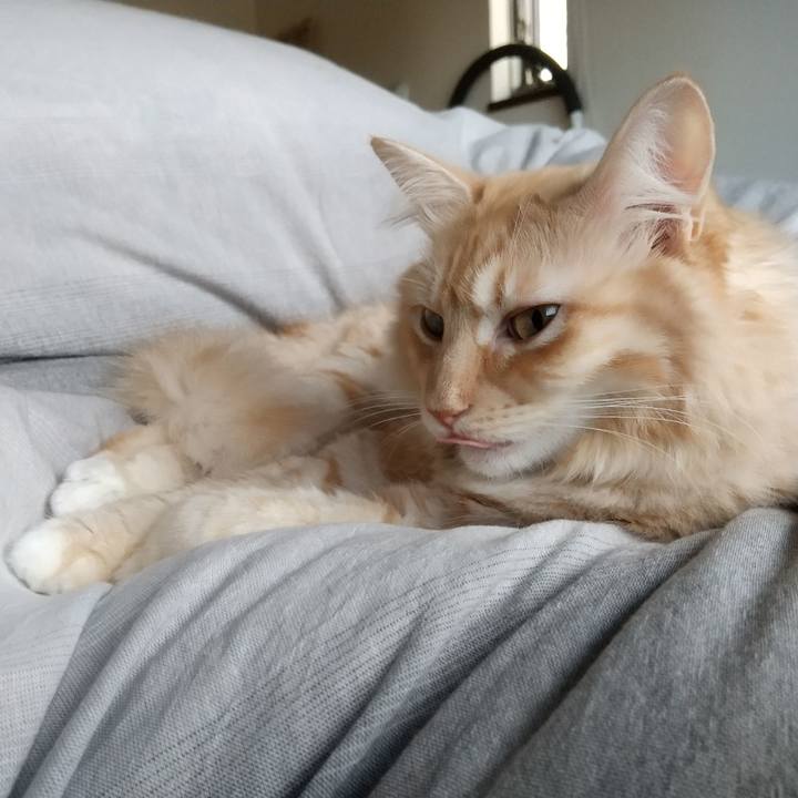 79033065 0588 406c bb62 5c99023d05bf 1636249160194