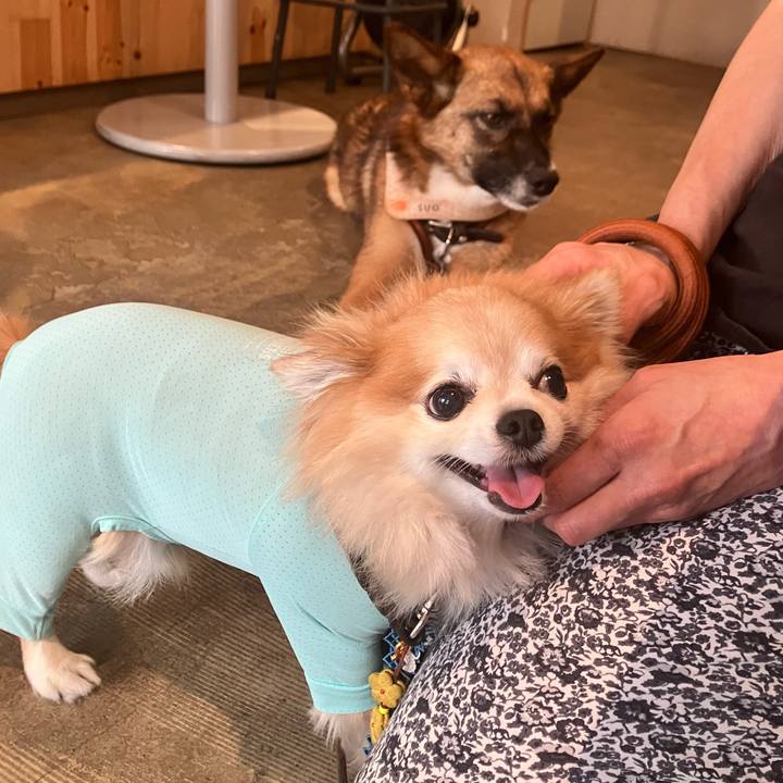 790359a6 b539 4c3b 82e1 ac01d779c862 1755807568836