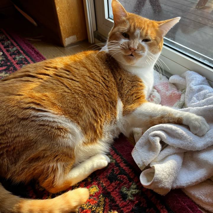 7903643c 3117 4269 bae7 8ae50662f592 1728687140226