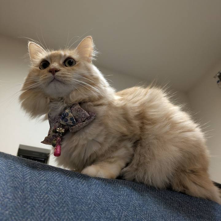 790374d8 d2b8 428f a1ca 504b6a3d9e07 1765424552041