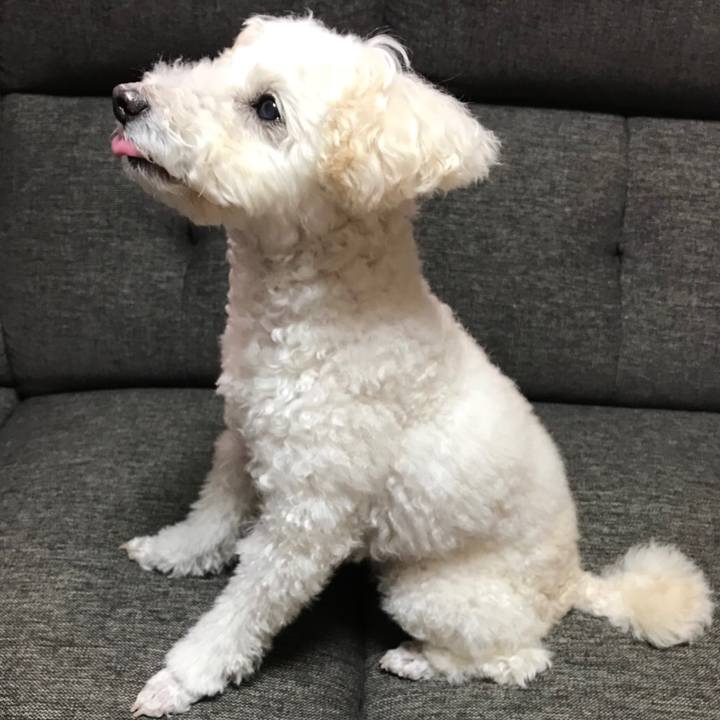 79037631 0b28 414f bca9 72b509a21049 1515598108356