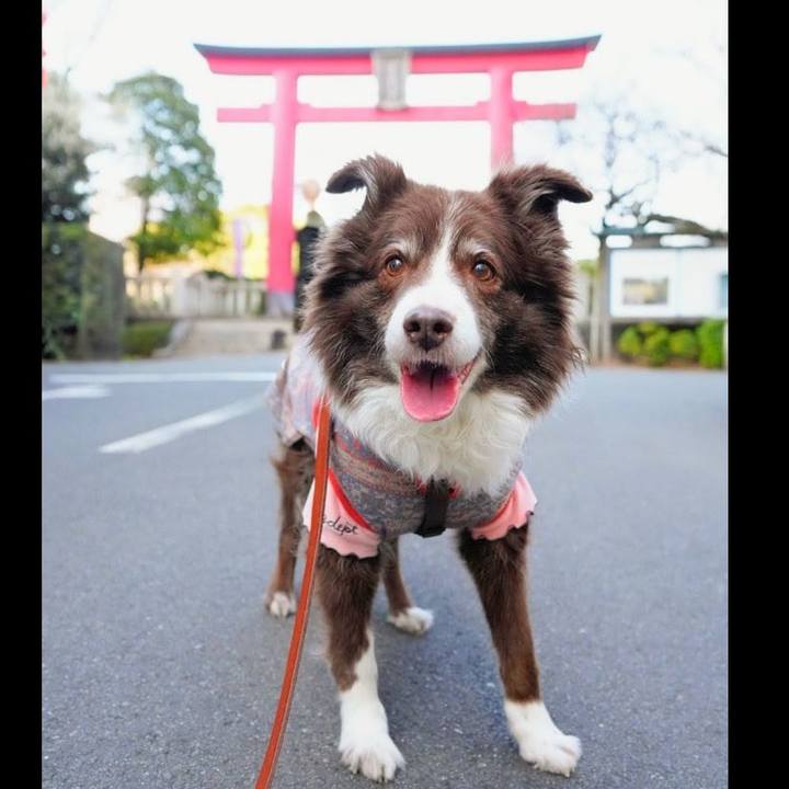 7903d157 1fc3 4a43 b853 54df0a950ab1 1771473587343