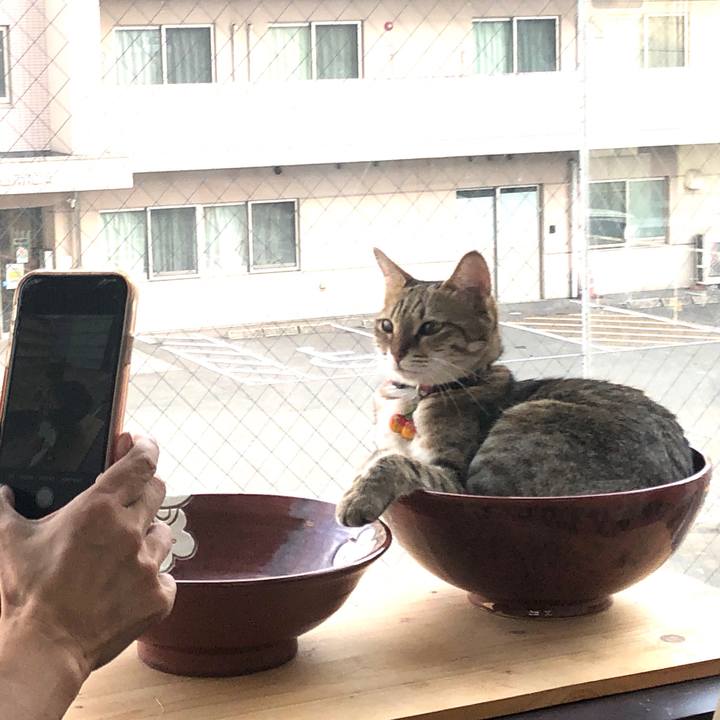 7903eadc f44d 424a bbc8 4942f9b14ed6 1629983255800