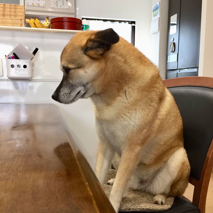 790401f7 24c4 4582 b632 8b8887a63f1a 1526182475637