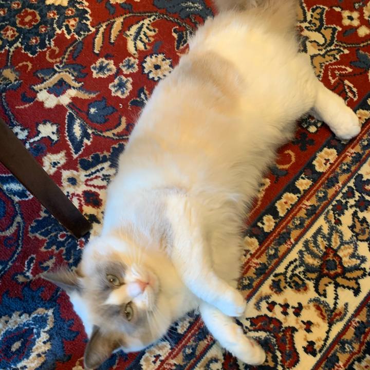 79040cc7 a32d 4c69 abfd cb81050501a8 1638062406163