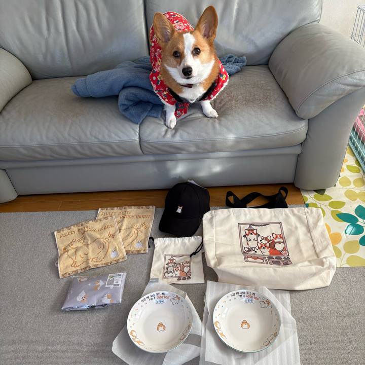 7904232b 745f 4ea1 93fe 96970a4141c9 1770594489453