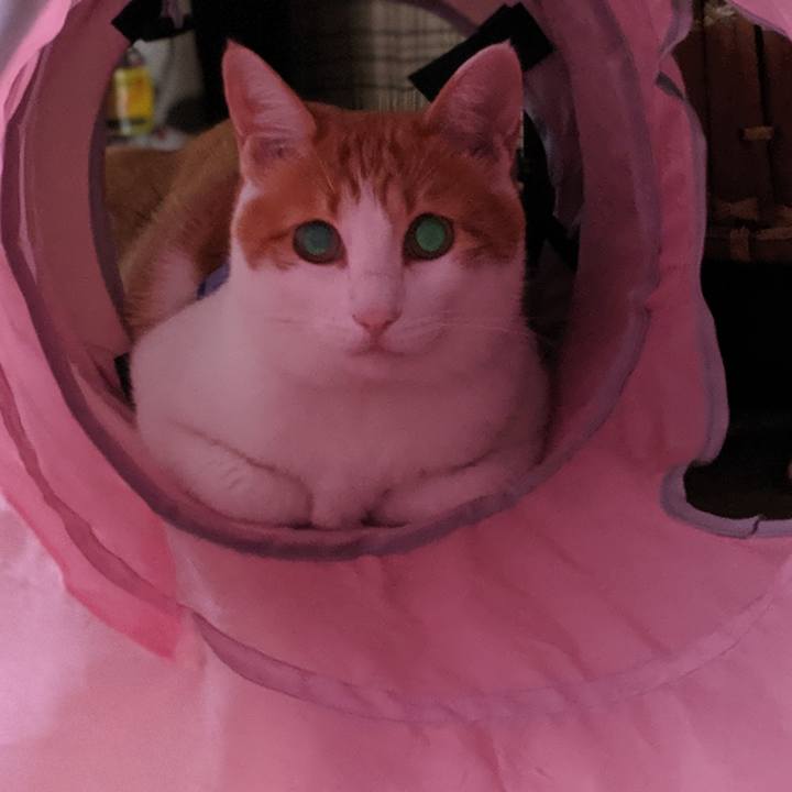 79044048 eb78 4f56 8554 d8b451bf635d 1565653498534