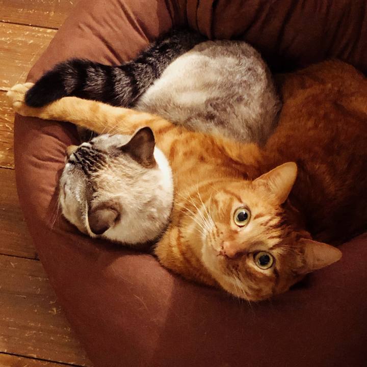 790462c5 1d16 41a3 a322 f272abde5dd4 1768139303904