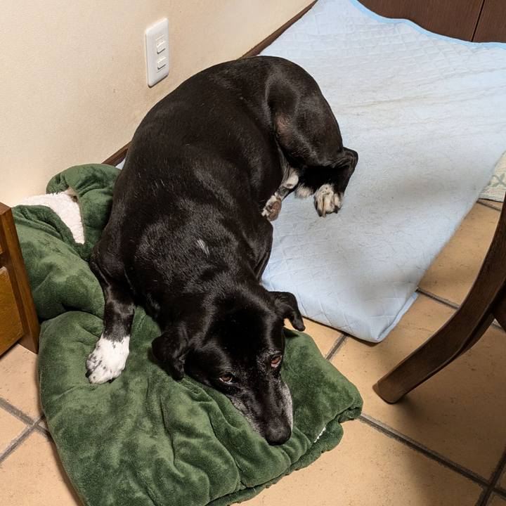 79047067 420d 4981 ab86 e0bdff0a7b84 1760315559192