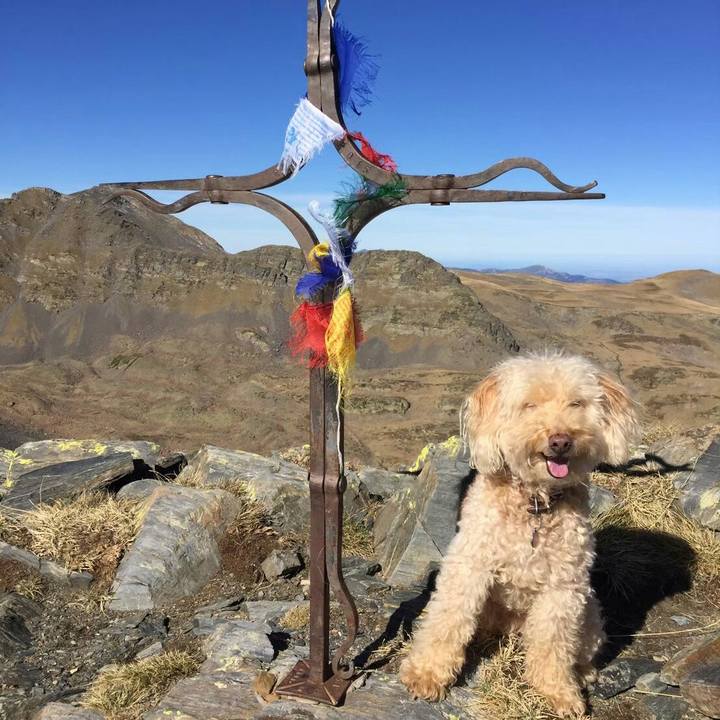 79049597 3005 4193 9c32 3ea115f435bd 1575378283734