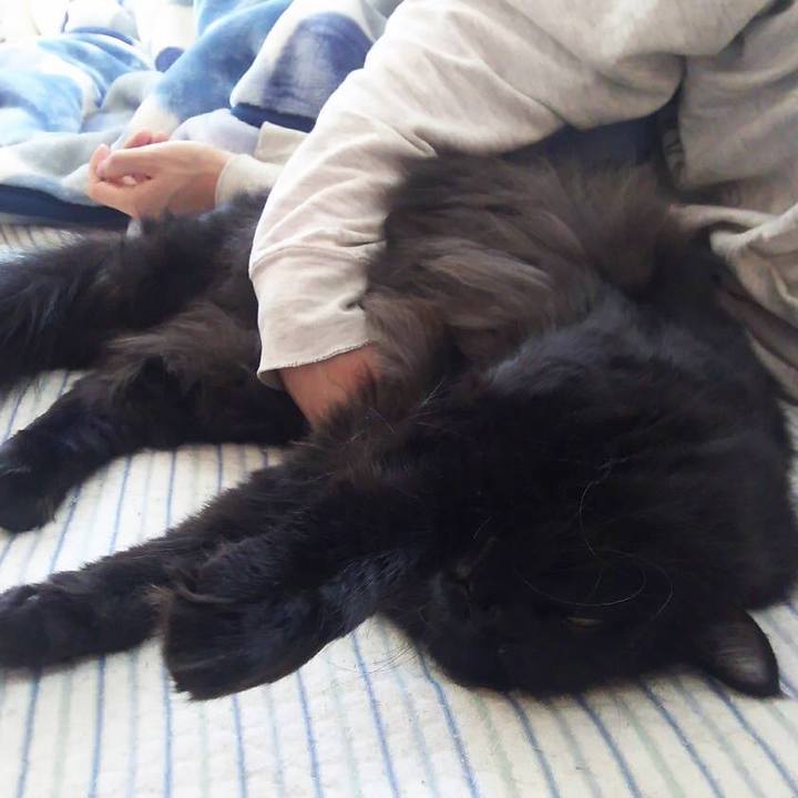 7904c0f3 2ec4 4d64 9b78 5c532e39b2cd 1542941042968