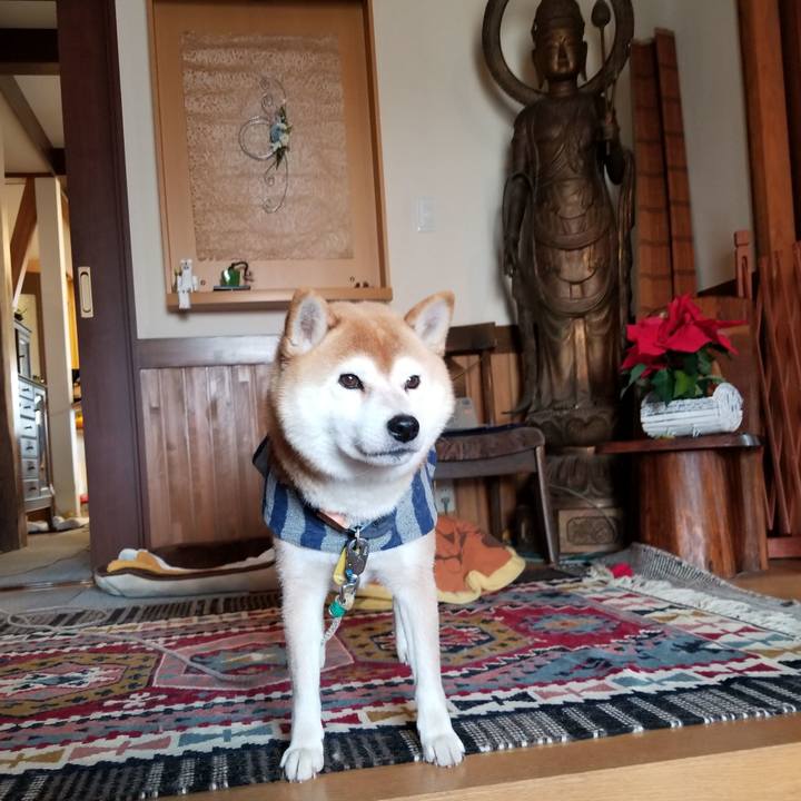 7904c590 657e 479a af02 d3313c5b1a4e 1579308859536