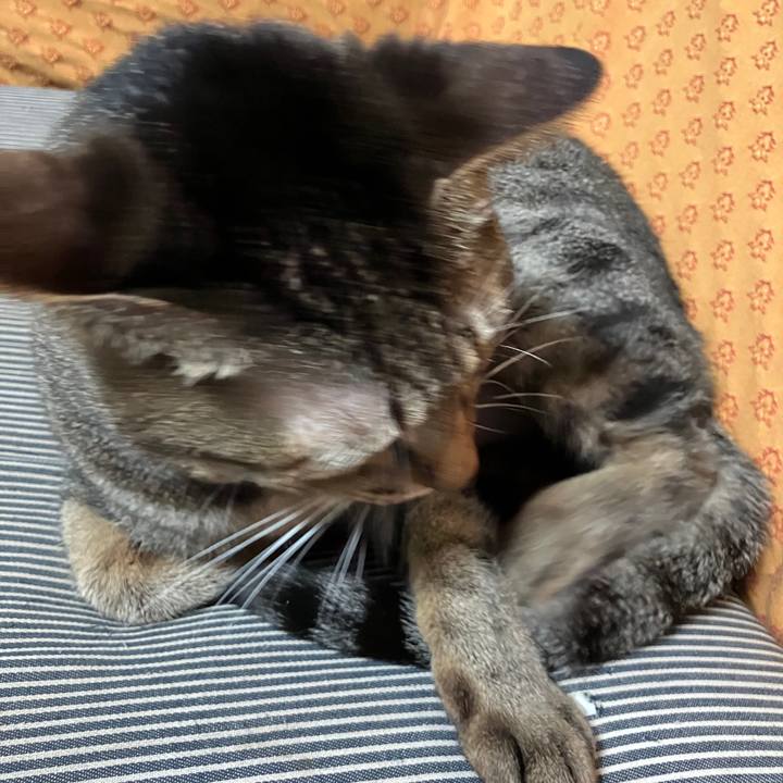 7904f447 b72f 4810 9f51 99adf61ebfd7 1764889030086